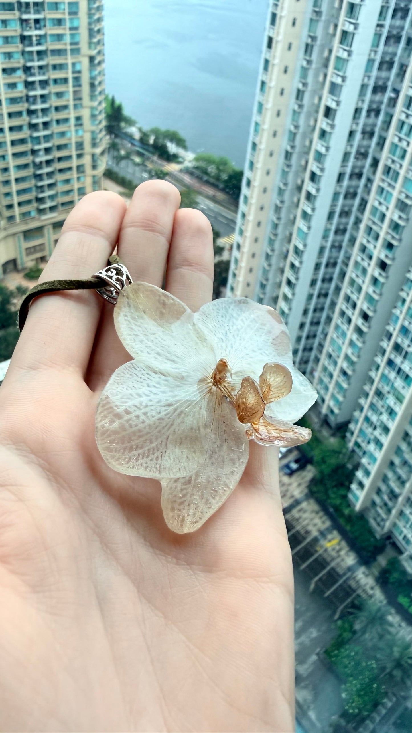 Ivory Orchid Pendant - Preserved Phalaenopsis in
Crystal Resin
