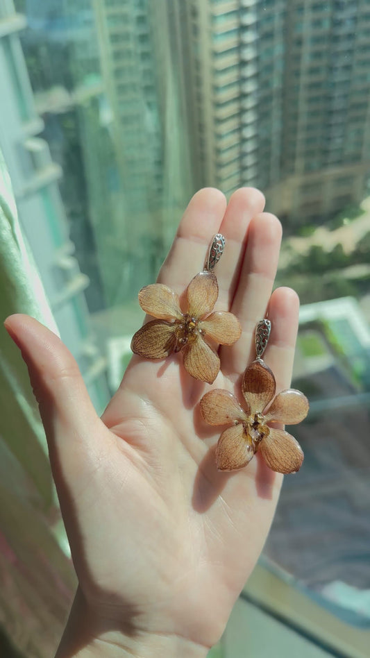 Autumn Glow Orchid Earrings - Preserved Flower Resin